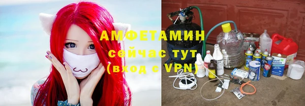 дживик Абаза