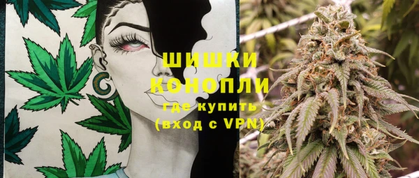 дживик Абаза