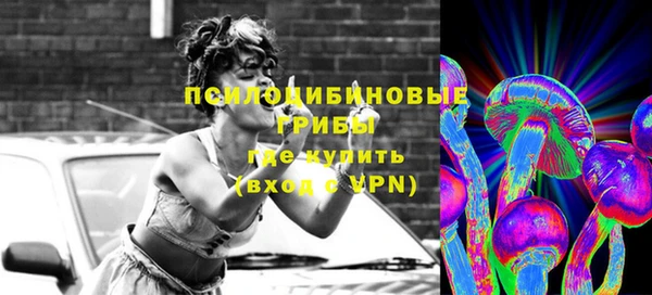 дживик Абаза